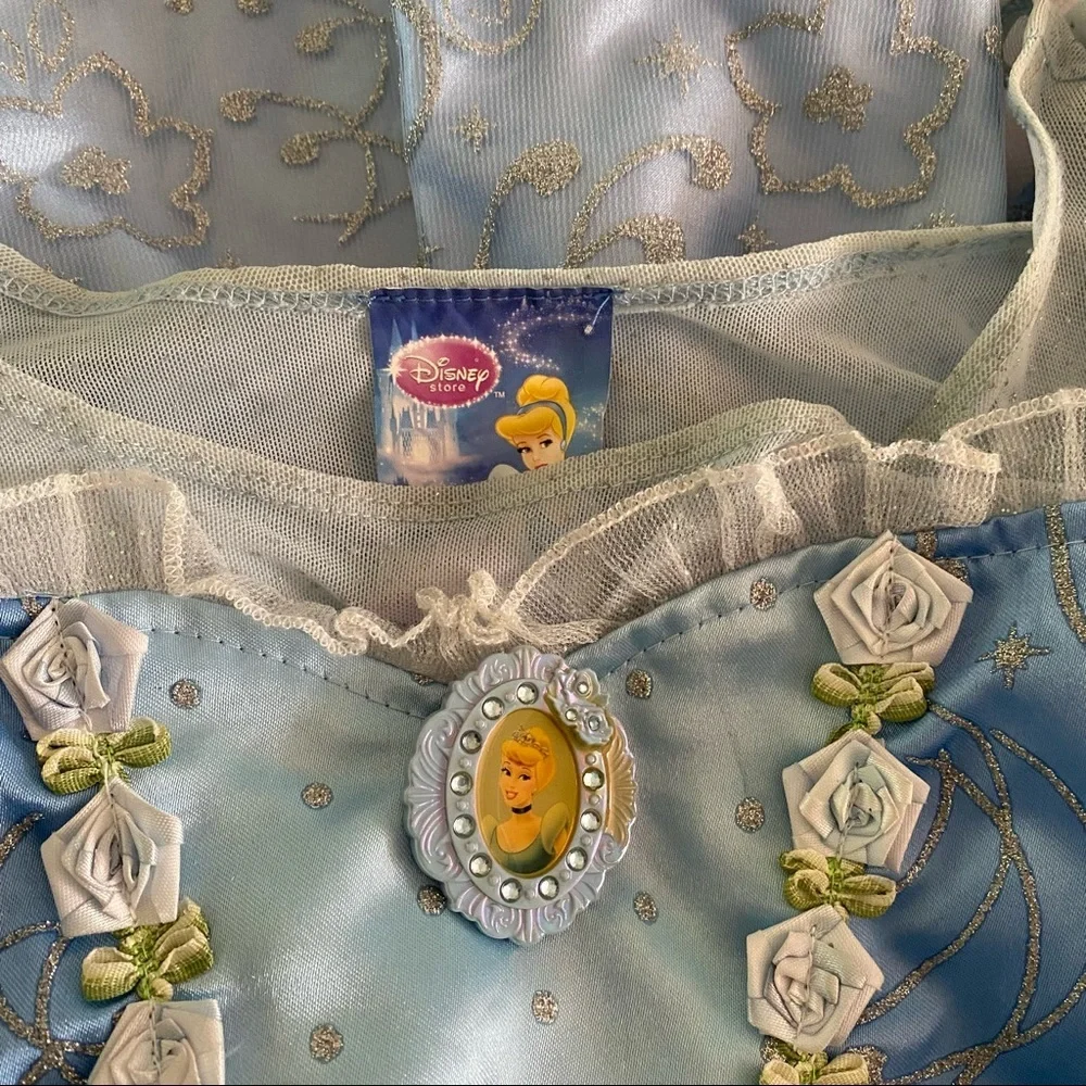 Disney Cinderella Costume